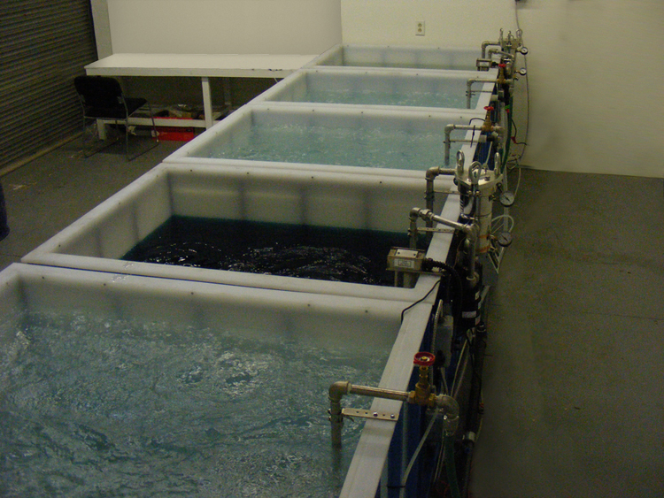 Chemical Conversion Coating